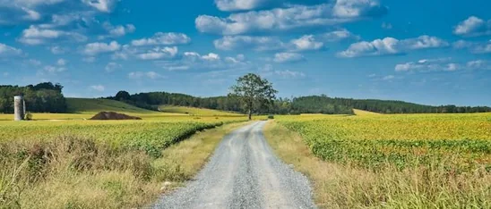 Culcheth — straight rural road