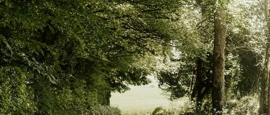 Lymm — narrow country lane