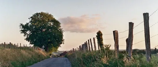 Lymm — rural road with verges