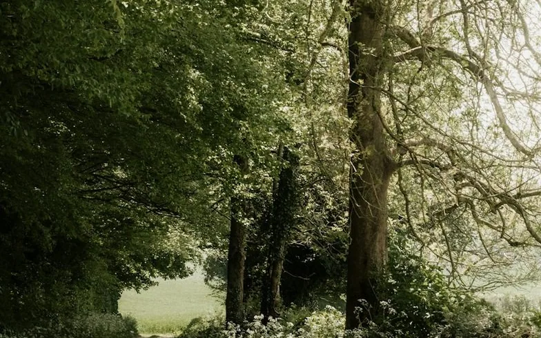 Lymm — local road or landmark